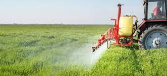 Agricultural Adjuvants Market Size, Regional Share, Growth, and Top...